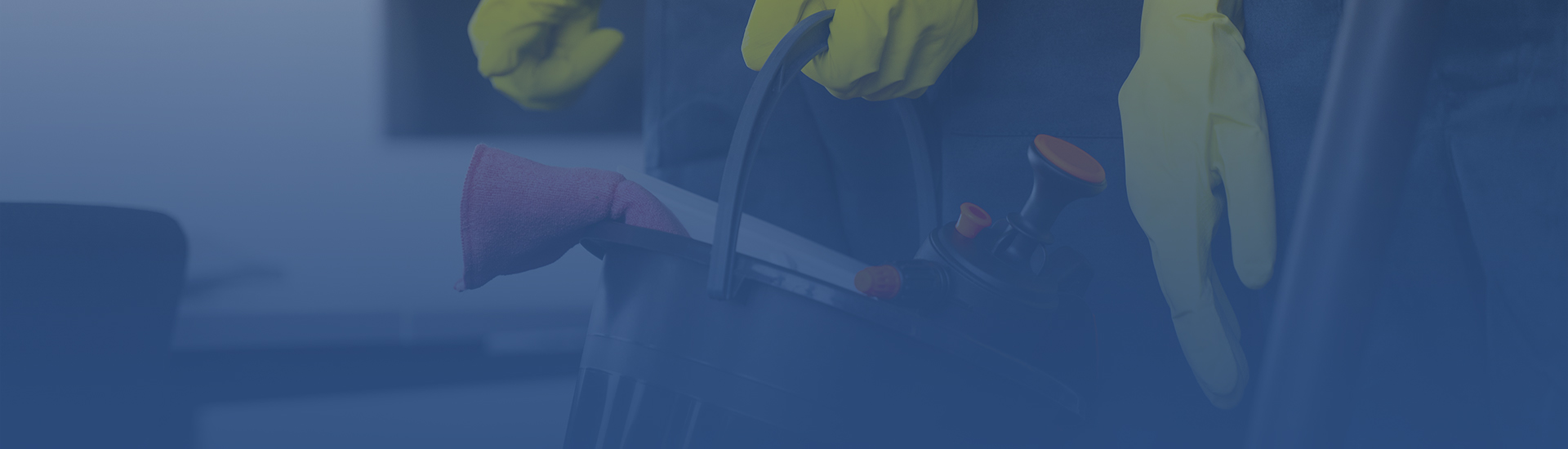 Cleanliness in the hands of the experts 