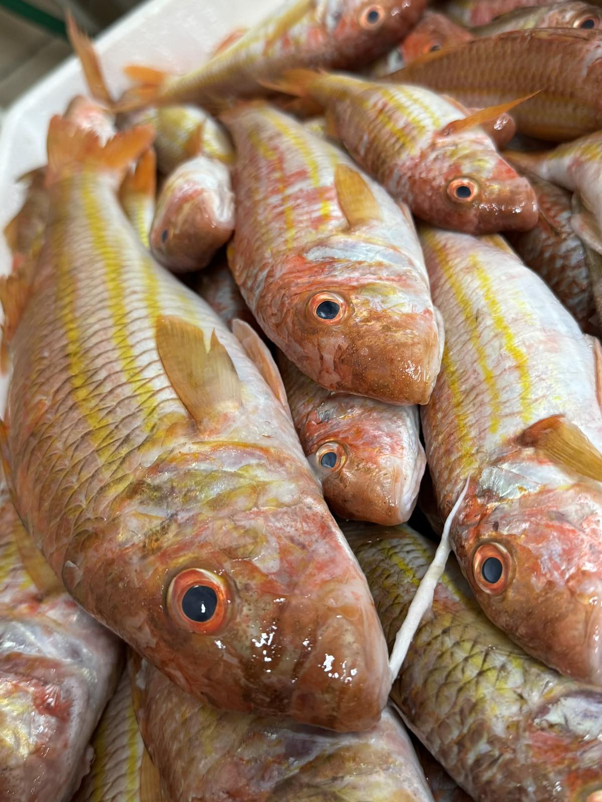 Το Εστιατόριο 