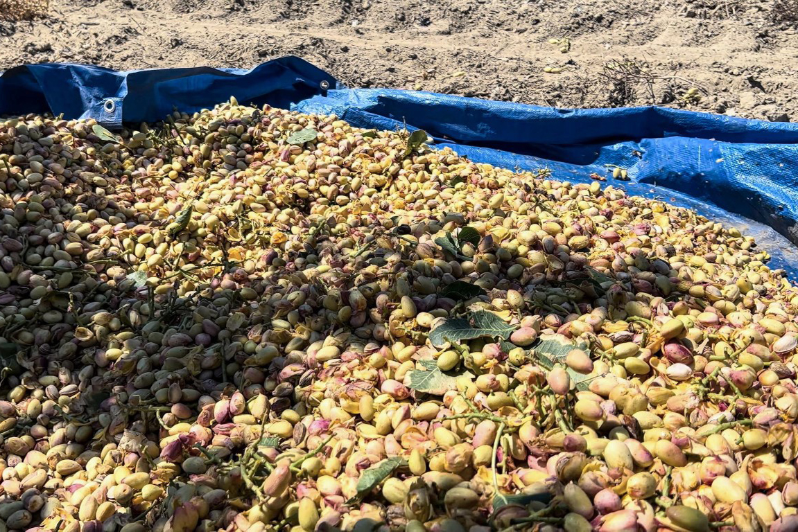 Φιστίκι ωμο ή ψημένο 