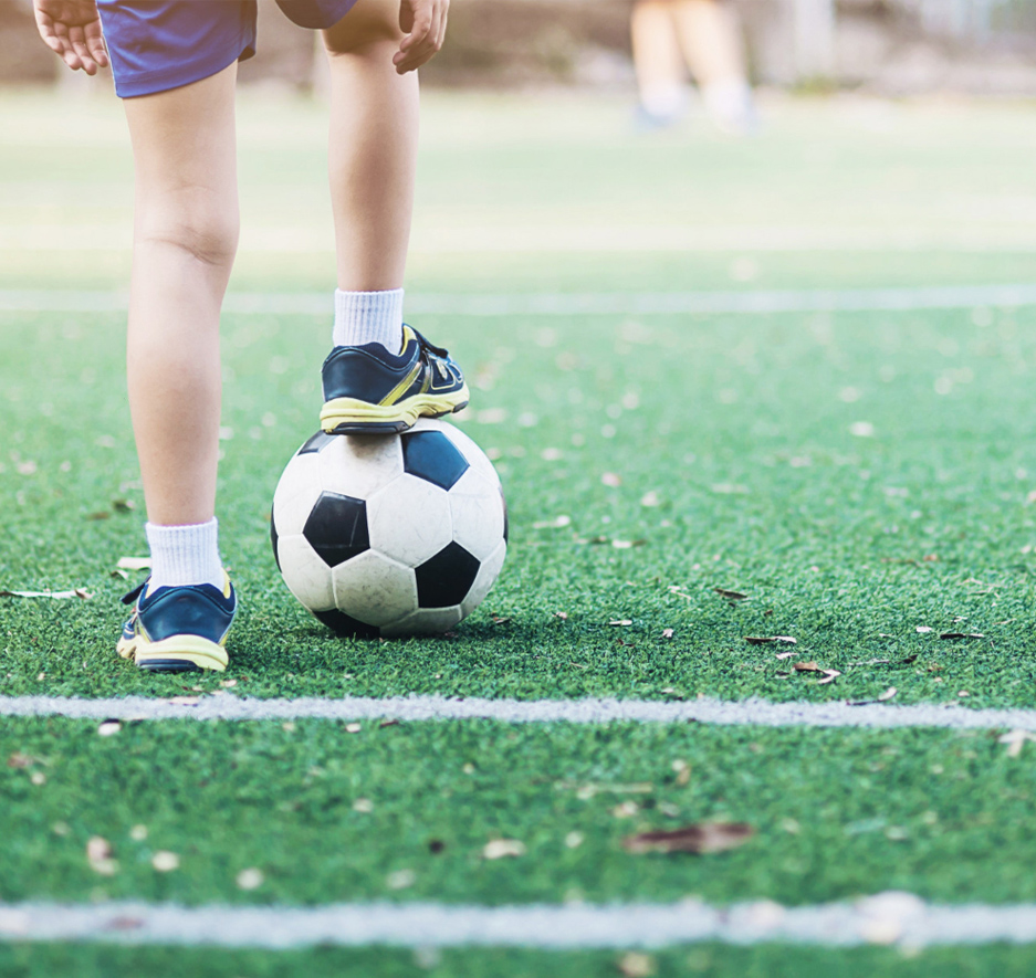 Σχολικές Εκδρομές 