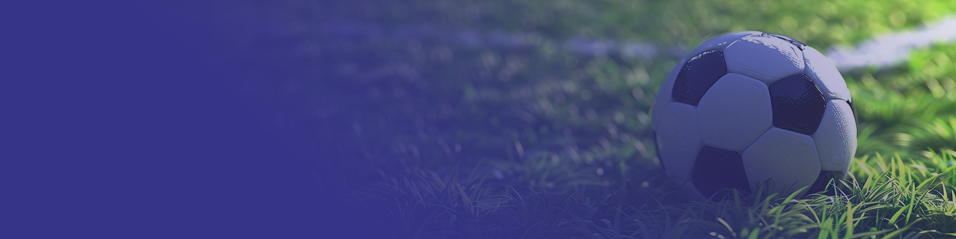 Επικοινωνήστε μαζί μας 