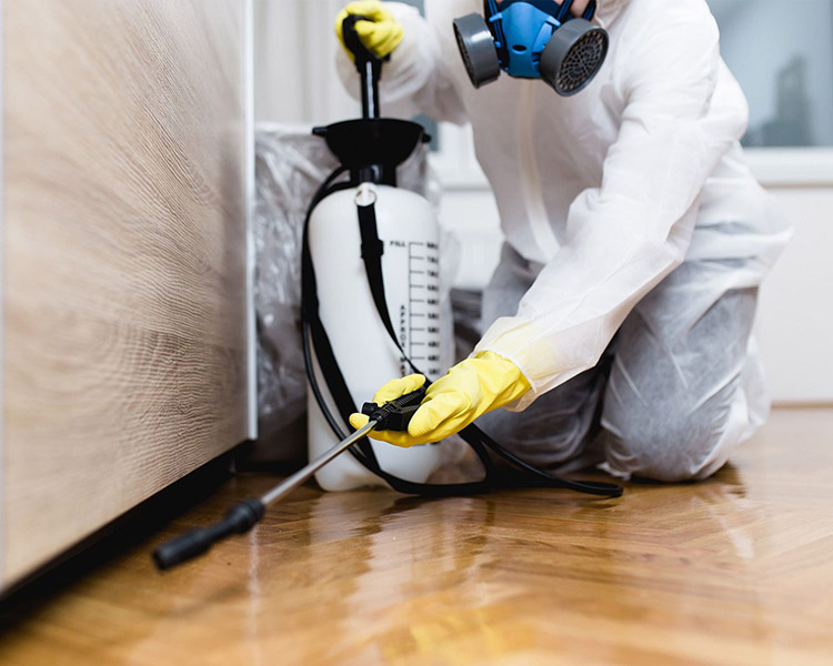 ΥΠΗΡΕΣΙΕΣ ΑΠΟΛΥΜΑΝΣΕΩΝ 