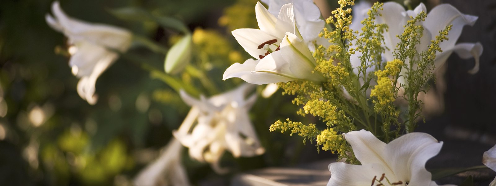 Ανθοστολισμός 