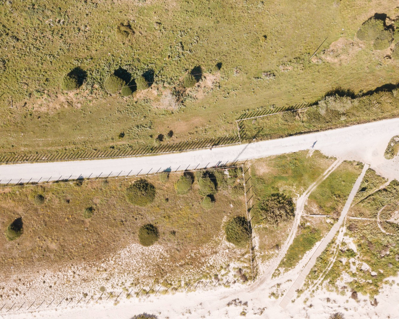 ΚΑΘΑΡΙΣΜΟΙ ΟΙΚΟΠΕΔΩΝ & ΠΡΟΛΗΨΗ ΠΥΡΚΑΓΙΩΝ