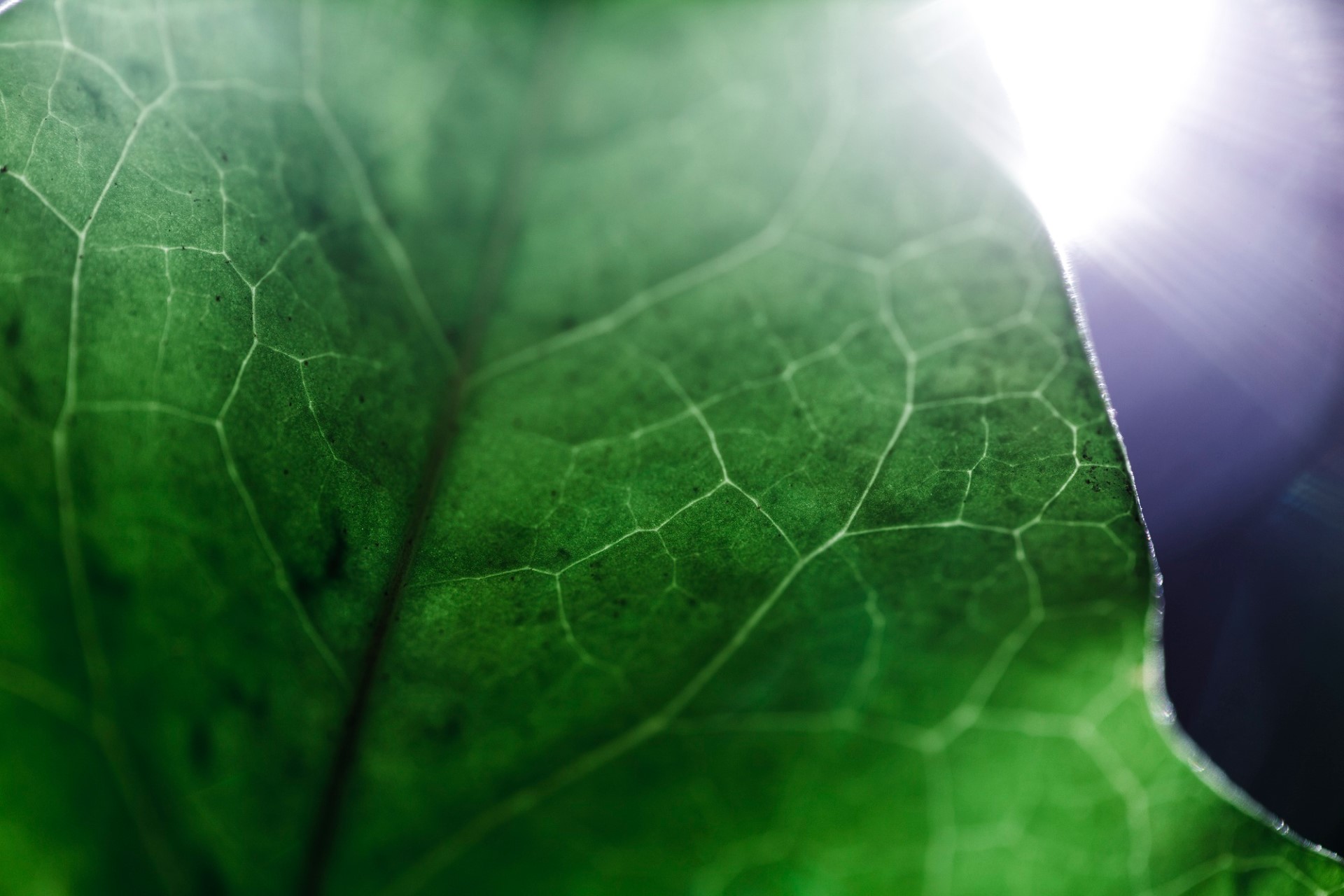 ΣΧΕΤΙΚΑ ΜΕ ΜΑΣ