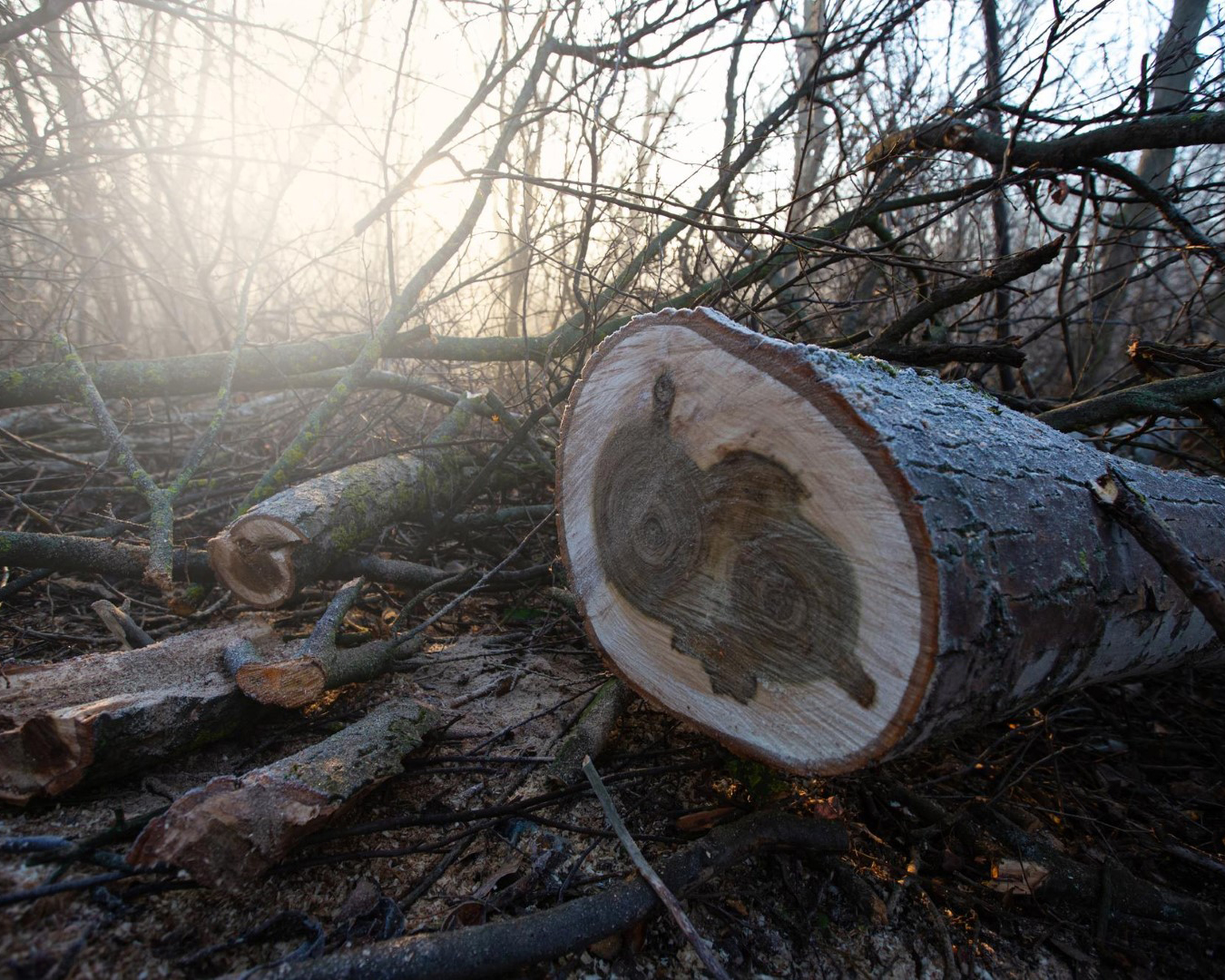 ΕΙΔΙΚΕΣ ΕΡΓΑΣΙΕΣ & ΤΕΧΝΙΚΕΣ ΥΠΟΔΟΜΕΣ 