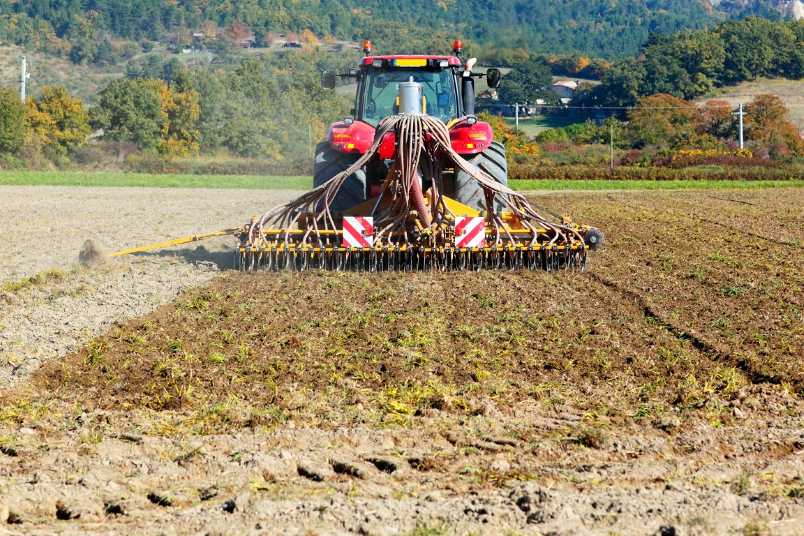 Φρέζες