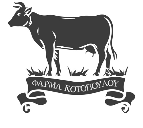 Calf Rearing Xanthi – Livestock Farm – Beef Production – Meat and Milk Northern Greece – KOTOPOULOU Farm Xanthi – Thrace