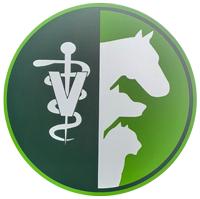 Κτηνίατρος Κιάτο | Καπλάνη Γεωργία