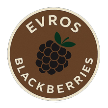 Evros Blackberries | Φρέσκα Μαύρα Βατόμουρα – Αποστολές σε όλη την Ελλάδα