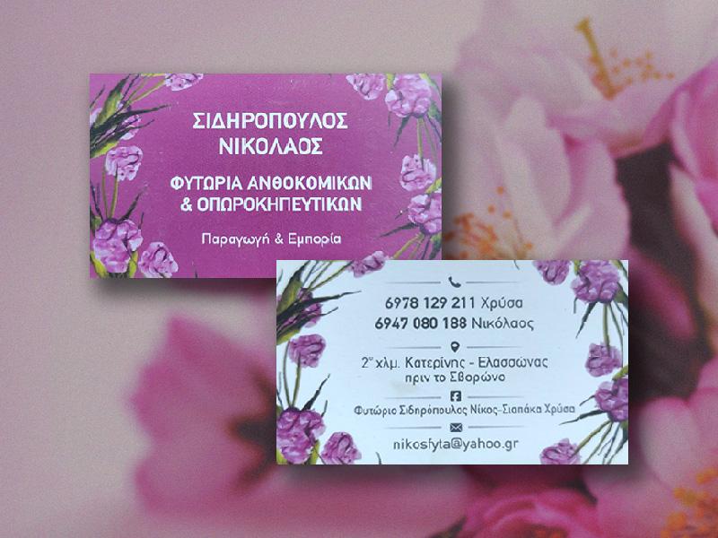 NURSERIES SIDIROPOULOS - KATERINI PIERIA NURSERIES - HORTICULTURAL SVORONOS - ORNAMENTAL - PLANTS - OLIVES - FRUIT - VEGETABLE SEED - GRASS - POTS - HUMUS - IPPOFAES