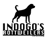 Εκτροφείο Σκύλων INDOGO’S ROTTWEILERS | Πολύγυρος Χαλκιδική