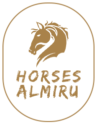 HORSES ALMIRU | Σχολή Ιππασίας Αμμουδάρα Ηράκλειο