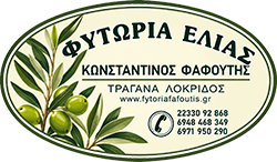 ΠΡΟΤΥΠΑ ΦΥΤΩΡΙΑ ΕΛΙΑΣ ΤΡΑΓΑΝΑ ΦΘΙΩΤΙΔΑ ΕΛΛΑΔΑ | ΦΑΦΟΥΤΗΣ ΚΩΝΣΤΑΝΤΙΝΟΣ