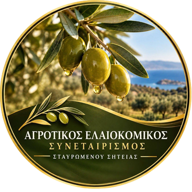 Olive Cooperative of Stavromenos Lassithi - Olive Oil Stavromenos Lassithi - Olive Mill Stavromenos Lassithi - Olive Oil Production Stavromenos Lassithi - Trade of Olive Oil Stavromenos Lassithi