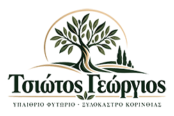 Φυτώριο Ξυλόκαστρο Κορινθίας | Τσιώτος Γεώργιος