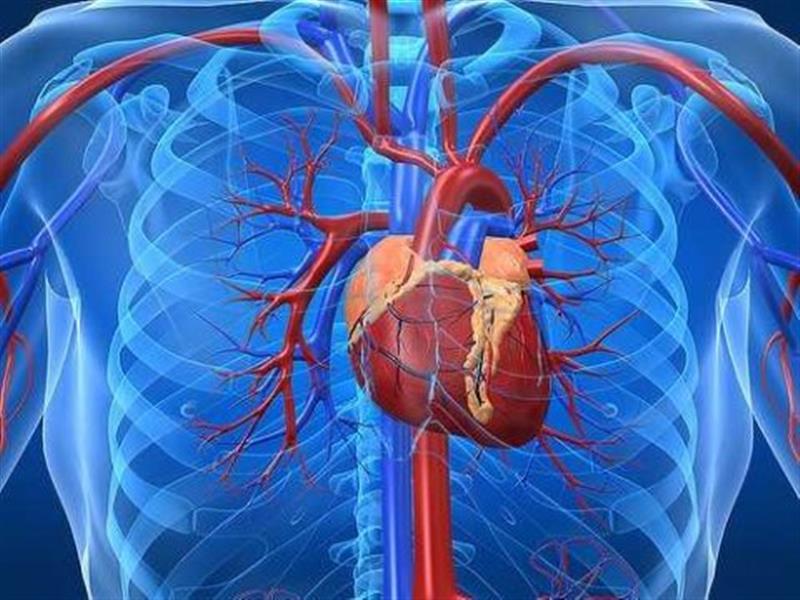 Λόζος Βασίλειος MD MSc PhD FECTS - Καρδιοχειρουργός Αμπελόκηποι