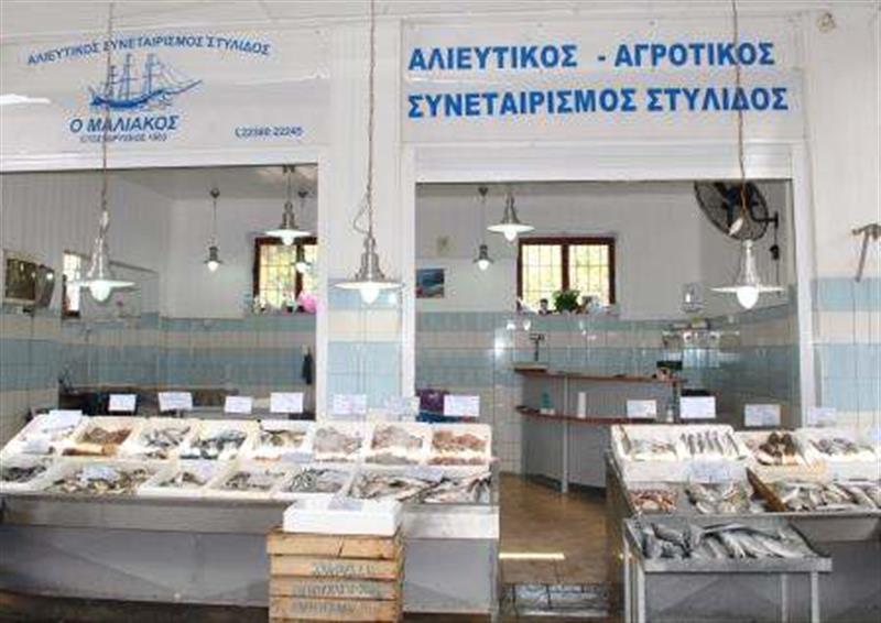 Αλιευτικός Συνεταιρισμός Στυλίδος - Ο Μαλιακός - Εμπόριο Ψαριών Στυλίδα - Παραγωγοί Ψαριών Στυλίδα Φθιώτιδα