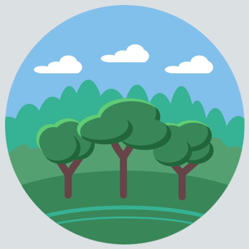 Φυσική Παραγωγή