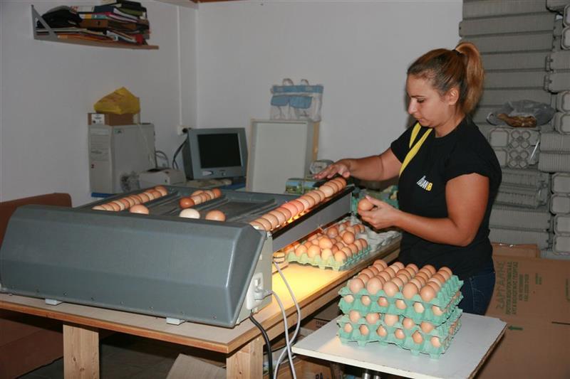 Ζαργάνης Πρότυπα Βιοαγροκτήματα Α.Ε.