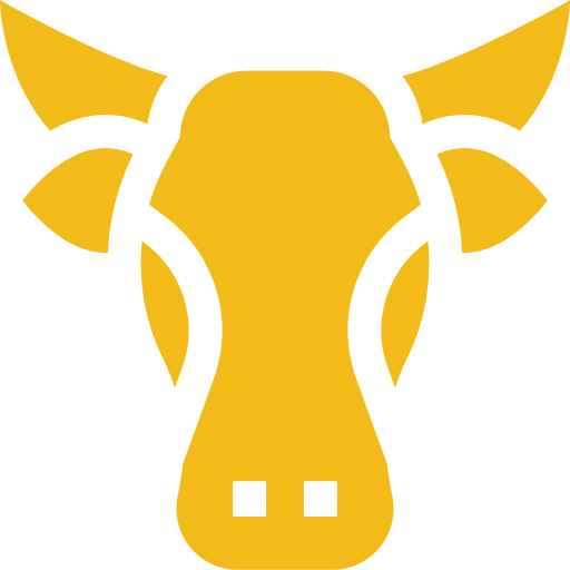 Calf Rearing Xanthi – Livestock Farm – Beef Production – Meat and Milk Northern Greece – KOTOPOULOU Farm Xanthi – Thrace