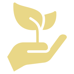 Gardener Volos Pelion Magnesia - PASOLLARI LULI – Gardening Services - Garden Maintenance - Garden Construction - Tree Cutting & Pruning - Lawn Care - Automatic Irrigation - Grass Cutting Volos Pelion Magnesia
