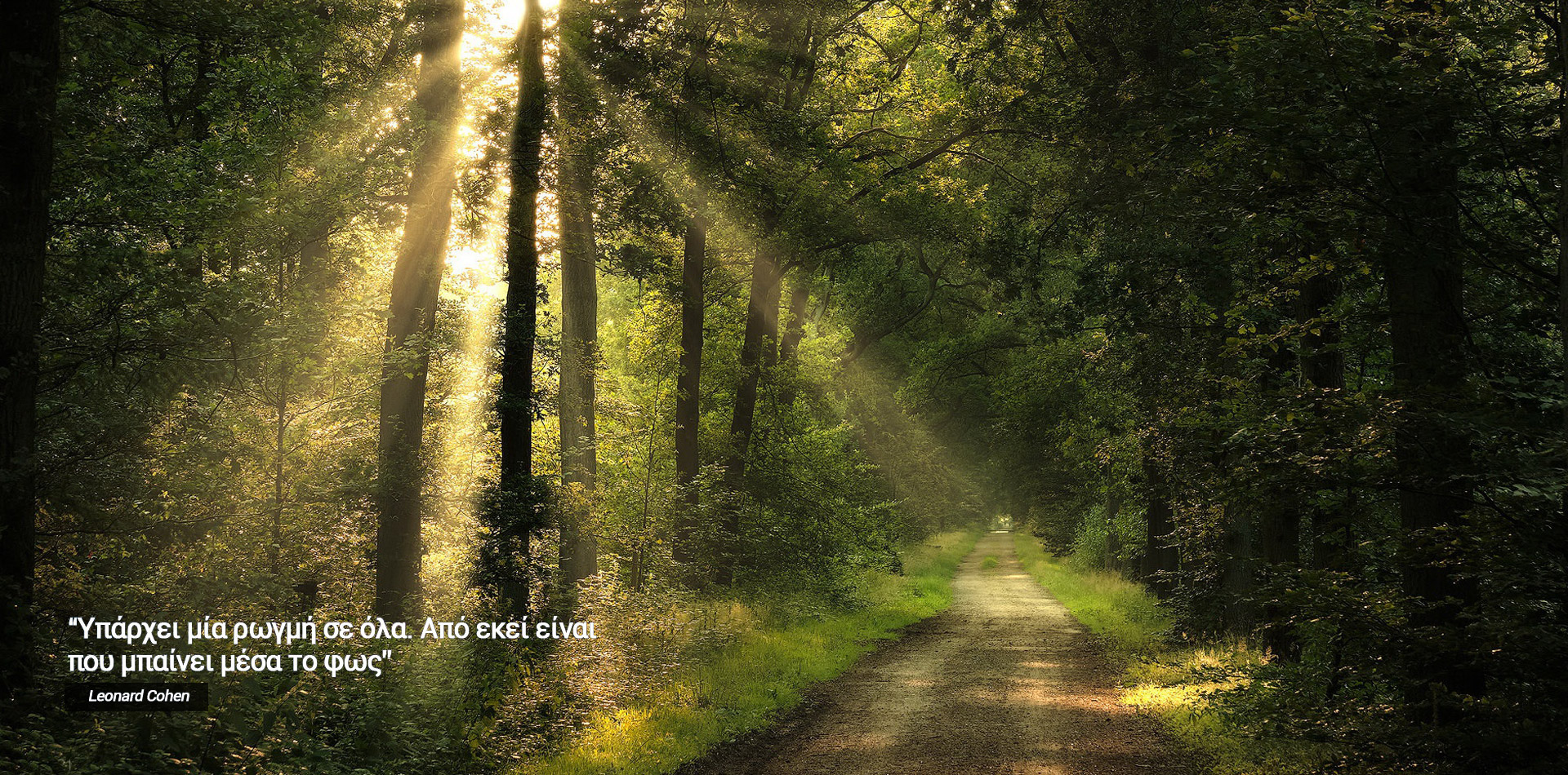 Slideshow image