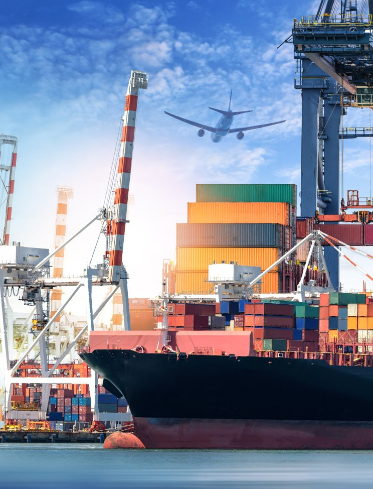 Γιαλούρης Βασίλειος 