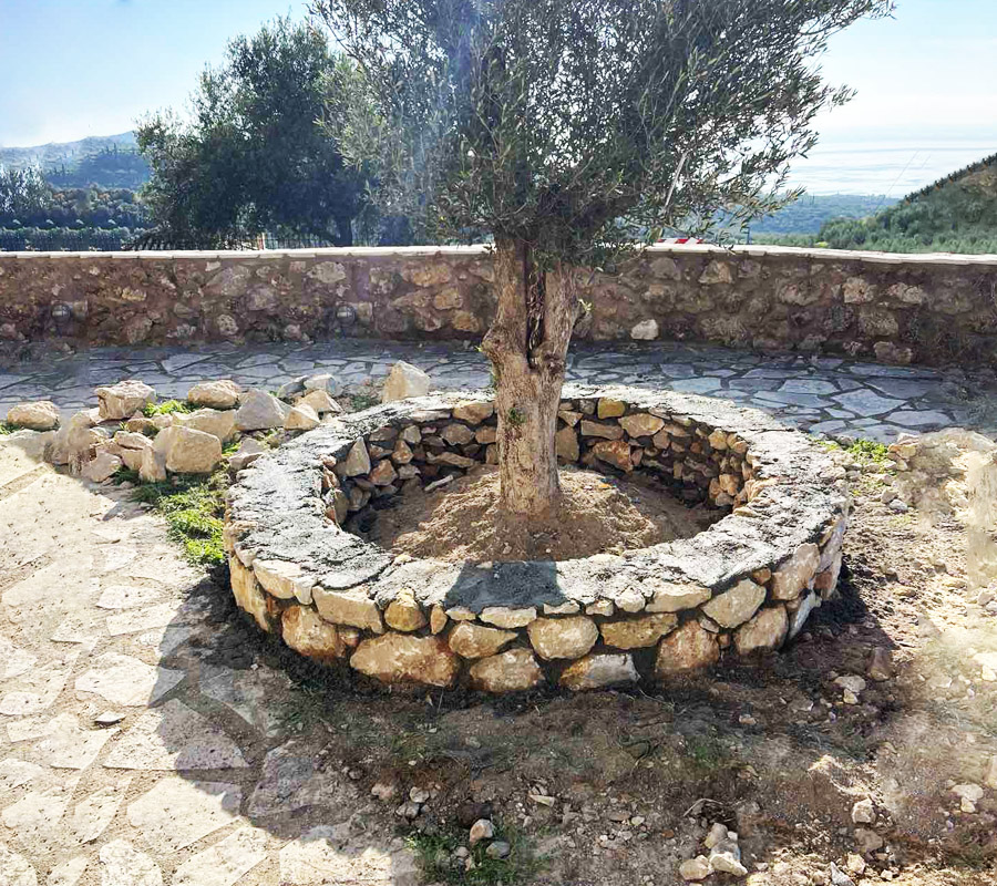 Paving & Stone Claddings