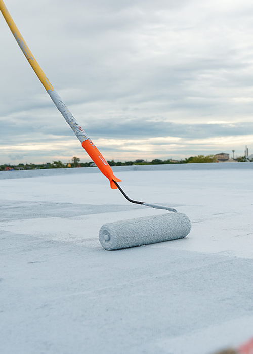 TOPI MARIO TOPI MARIO