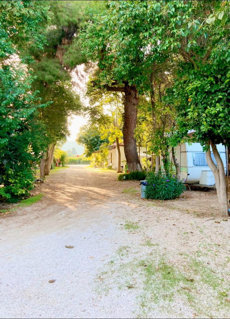 Camping Ancient Assini beach Camping Ancient Assini beach