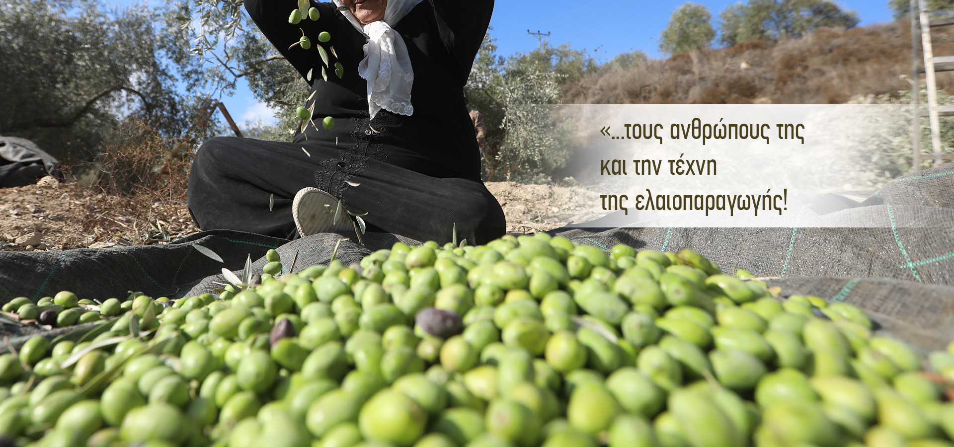 Slideshow image