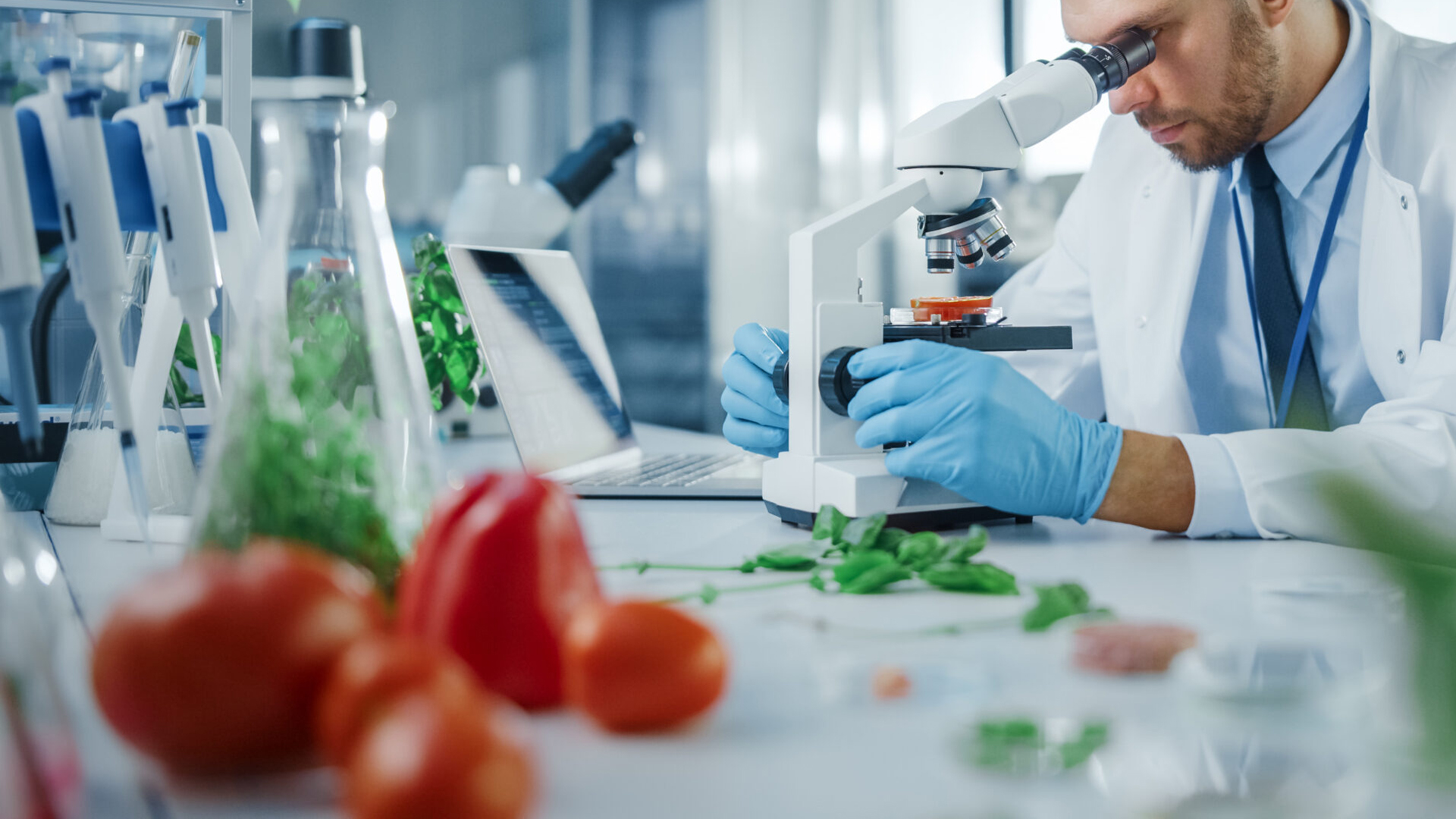 Η Ποιότητα μετριέται… στο LavdasLab Η Ποιότητα μετριέται… στο LavdasLab