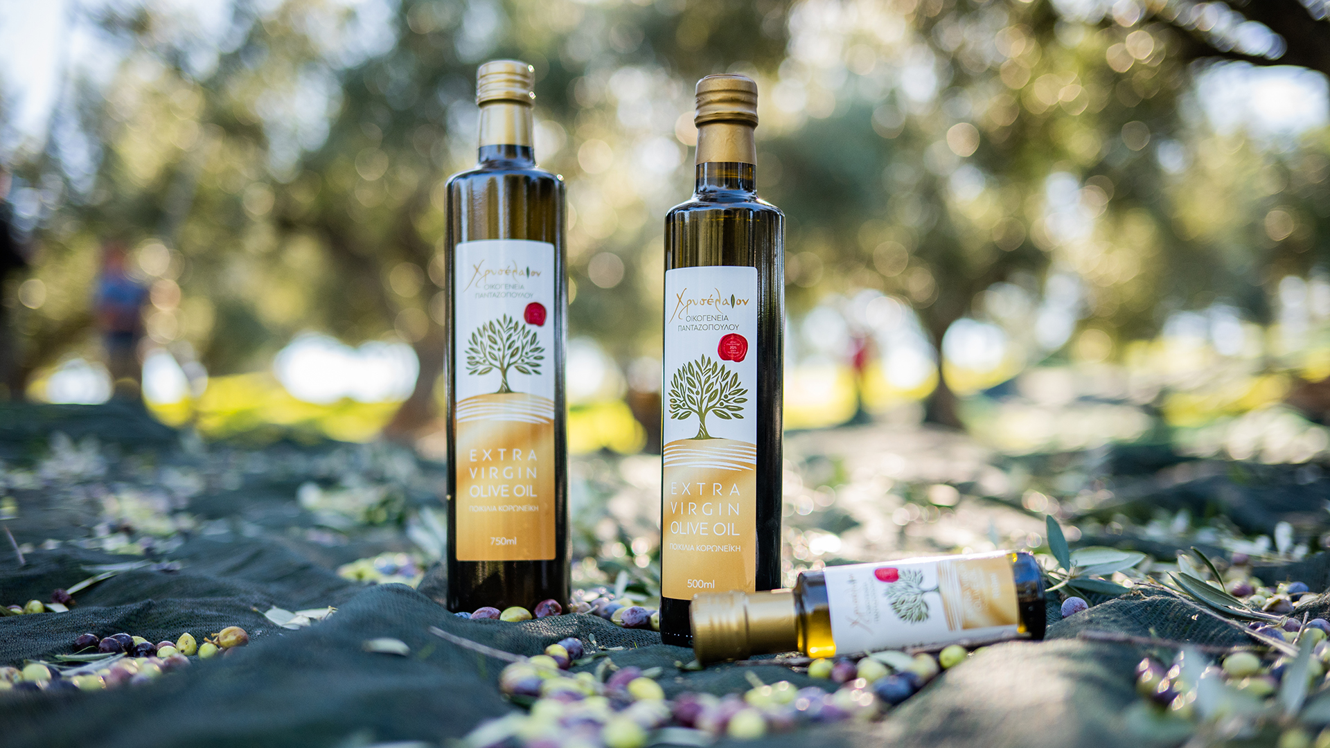 Χρυσέλαιον – Η Γεύση της Παράδοσης