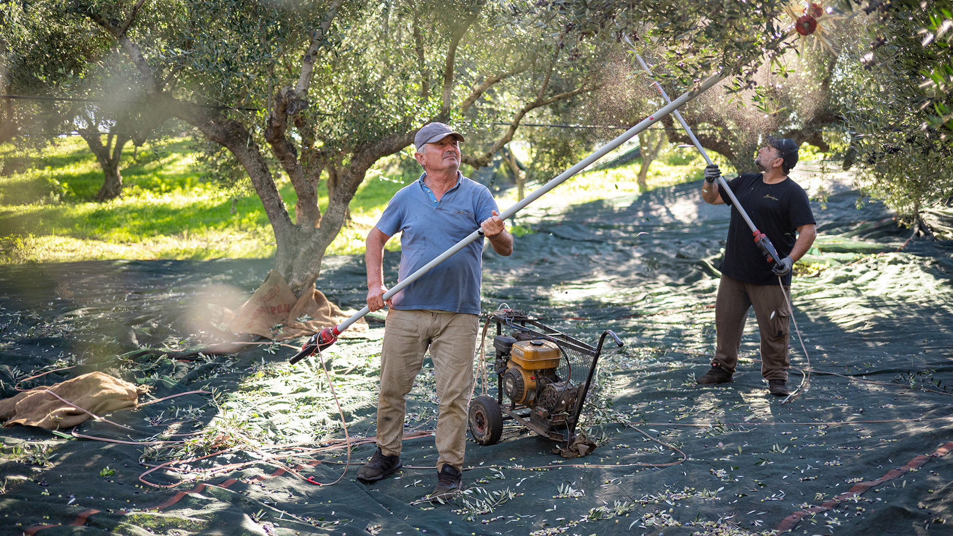 Η Οικογένειά μας, το Λάδι σας