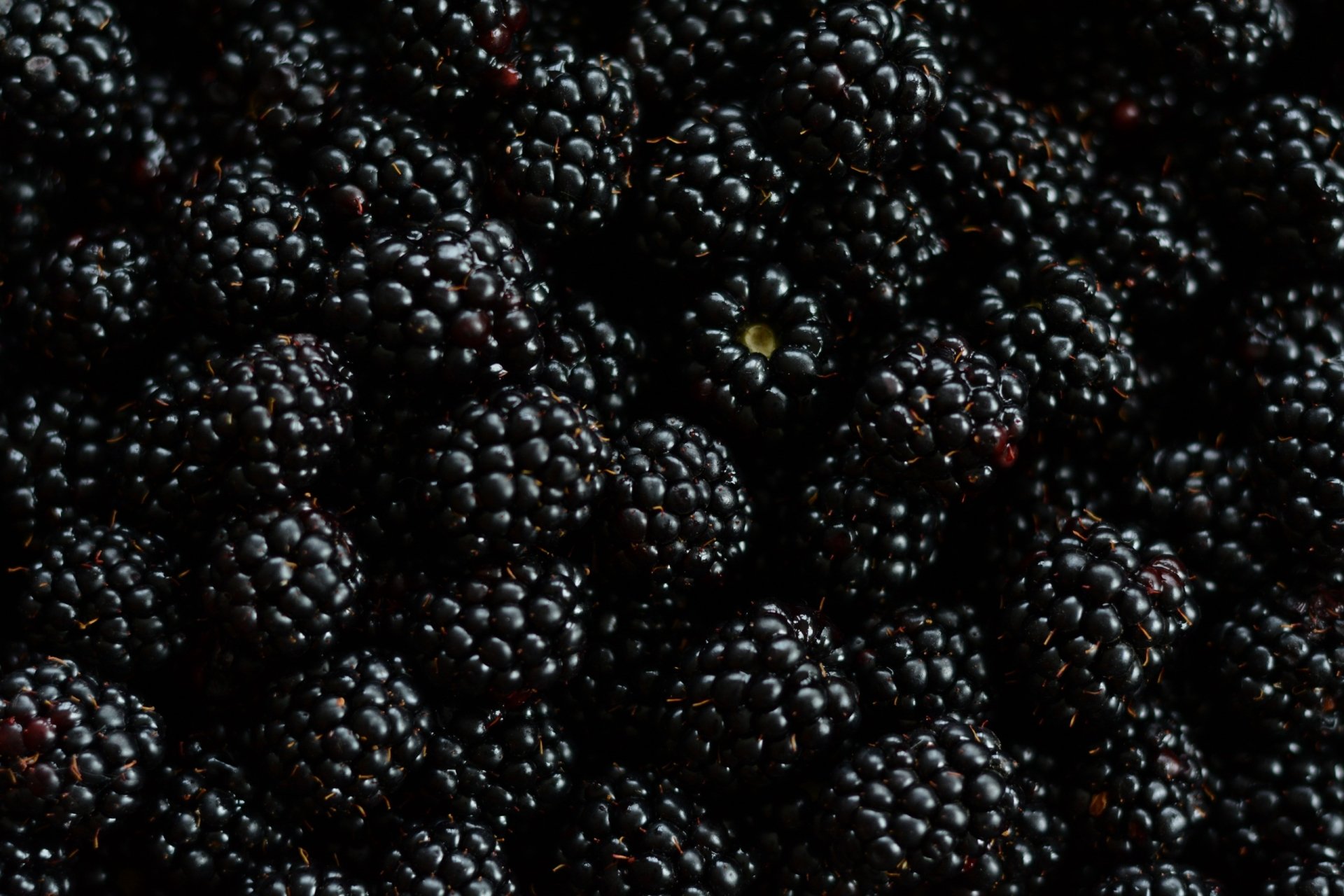 EVROS BLACKBERRIES