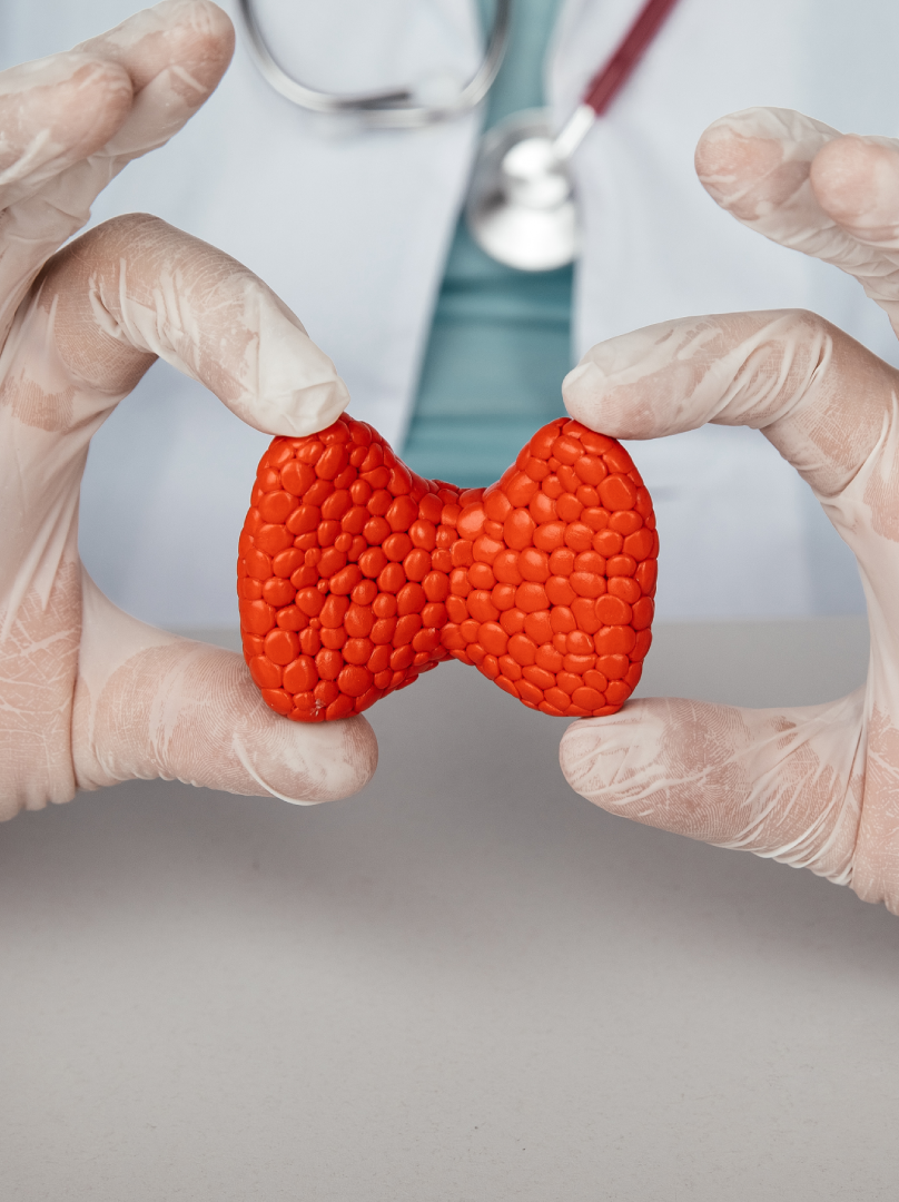 Βάλβης Νικόλαος