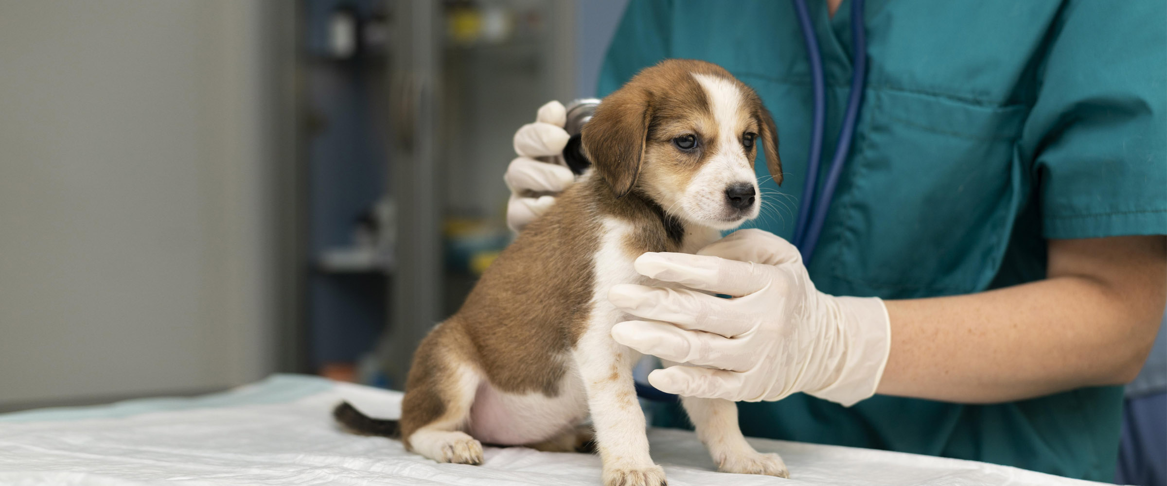 Σύντομα κοντά σας