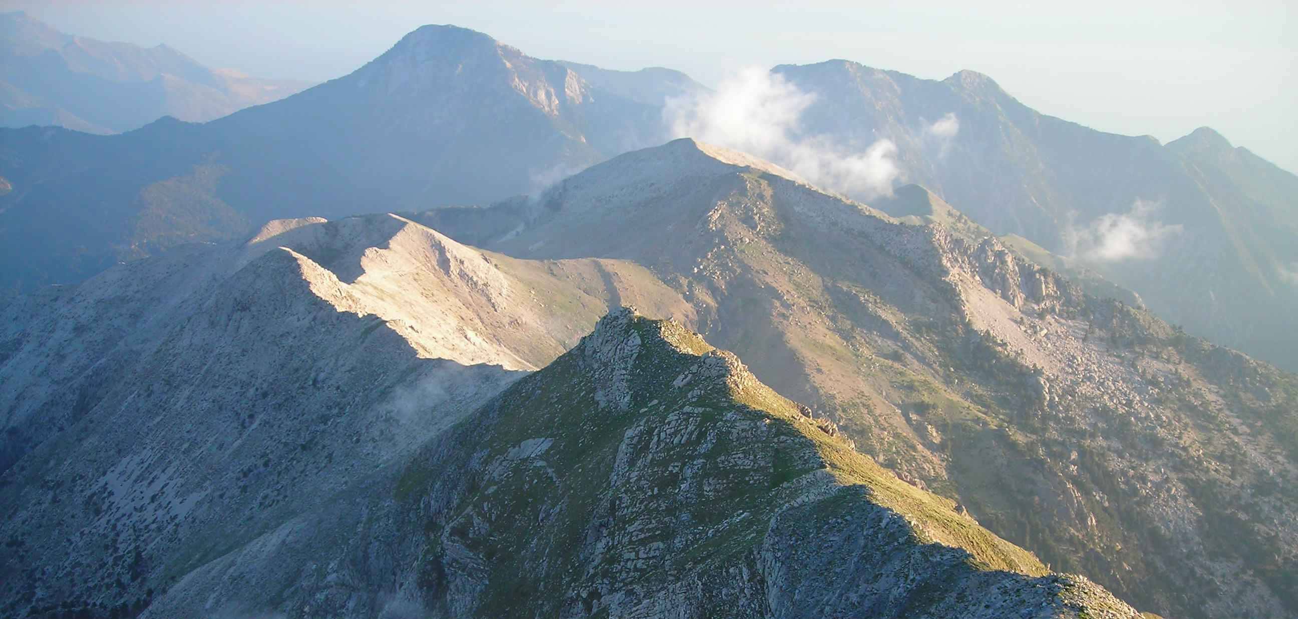 Από τις ρεματιές του Ταϋγέτου στο ποτήρι σας.