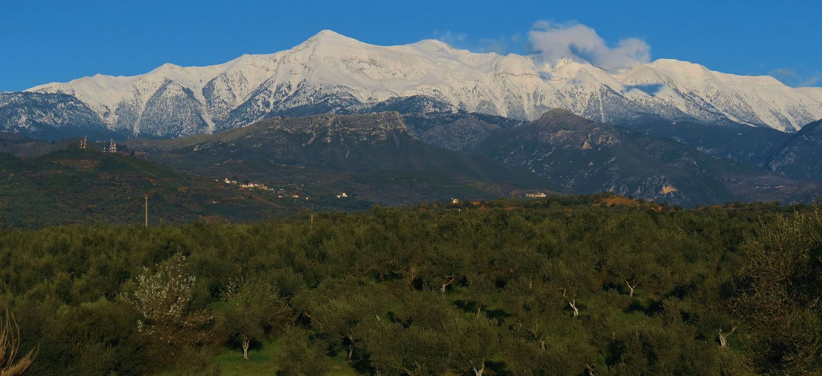 Από τις ρεματιές του Ταϋγέτου στο ποτήρι σας.