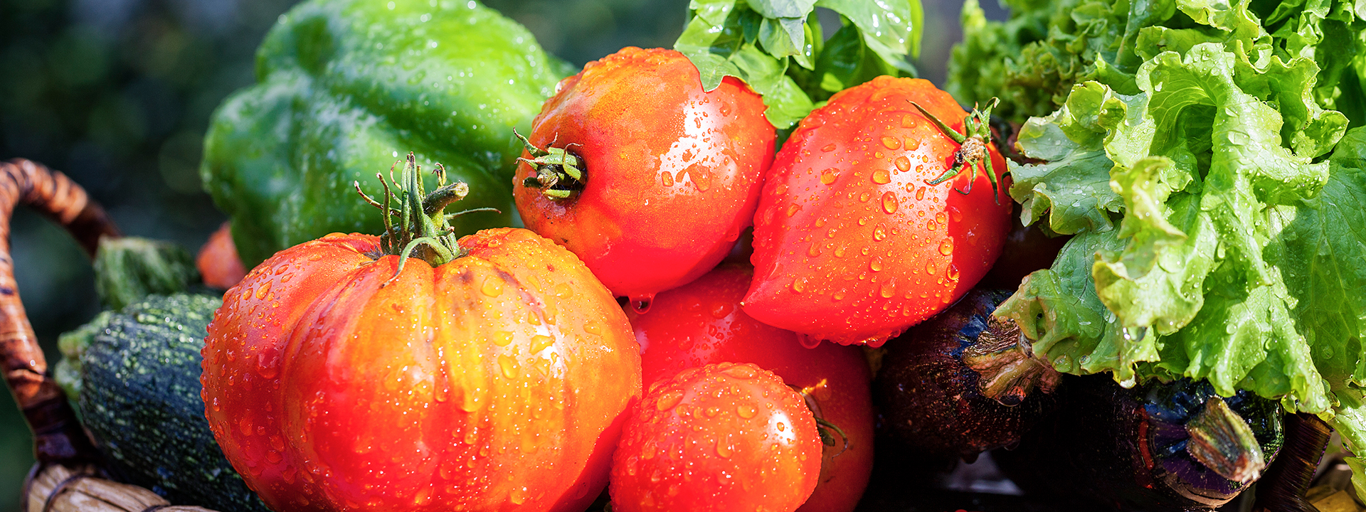 Φυτώριο Χαιρέτη