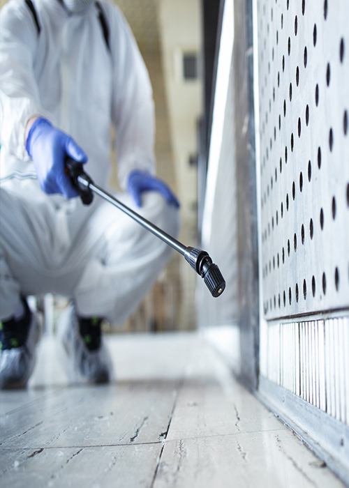 Απολυμάνσεις - Απεντομώσεις