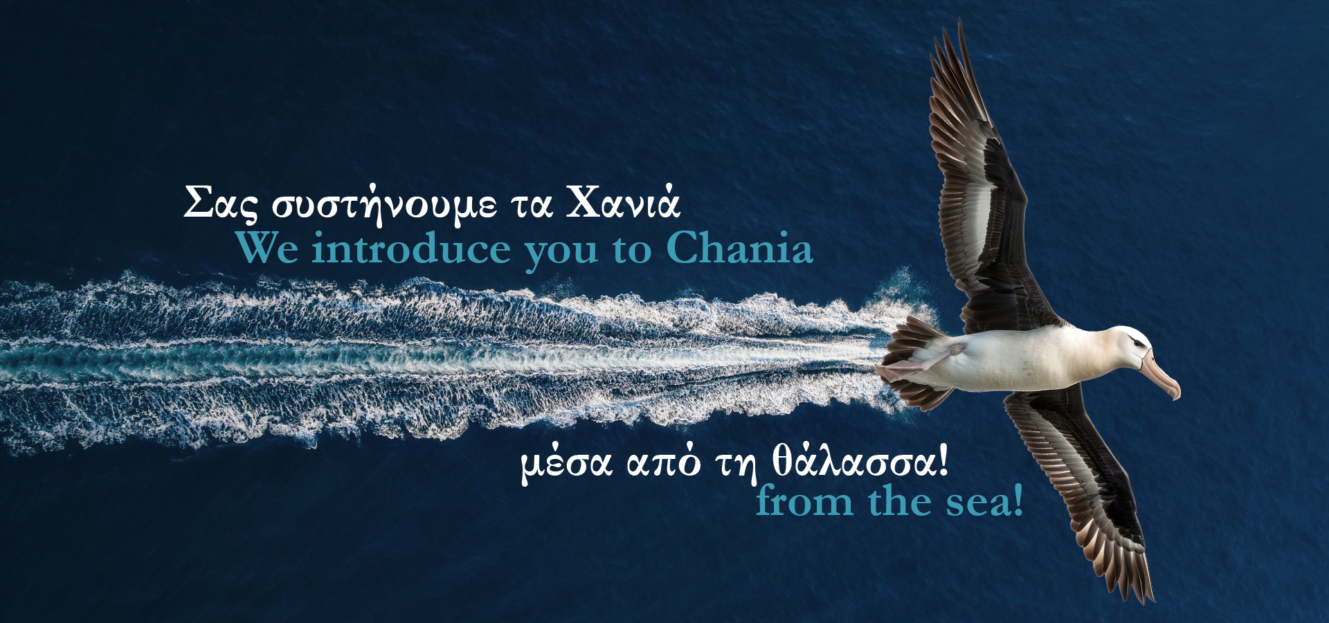 Slideshow image
